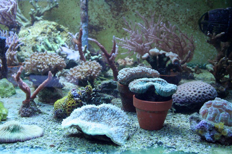 Killikus&reg; Fotographie